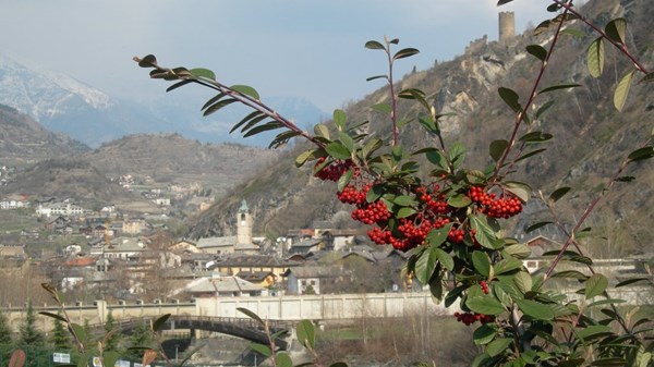 Ciclotour: Villeneuve - Pont (Valsavarenche)