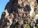 Singlin rock climbing wall