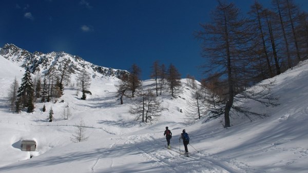 Alpe Berrier