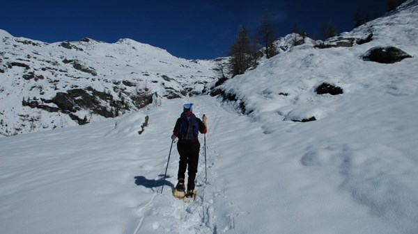 In racchette al Rifugio Arp