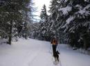 In snowshoes up to Col de Joux