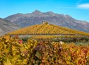 Tour of the wineries: discovering the Aosta Valley’s  wines