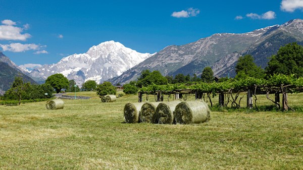 Ciclotour: Morgex - giro della Valdigne - Morgex