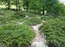 Place Moulin – Berghütte Aosta