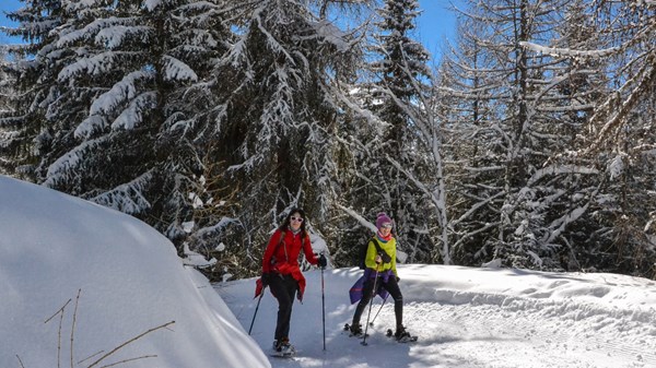 Sentier piéton Chamois - Col Pilaz - Belvedere Champlong  