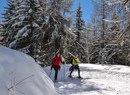 Tracciato pedonale Chamois - Col Pilaz - Belvedere Champlong  