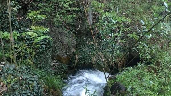 Saint-Vincent - La Verdettaz le long du ru de la plaine
