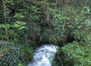 Saint-Vincent - La Verdettaz lungo il ru de la plaine