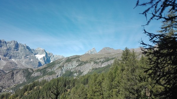 Champlève - Promindot