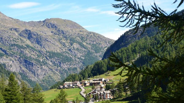 Vieux Menthieu - Arp Vieille