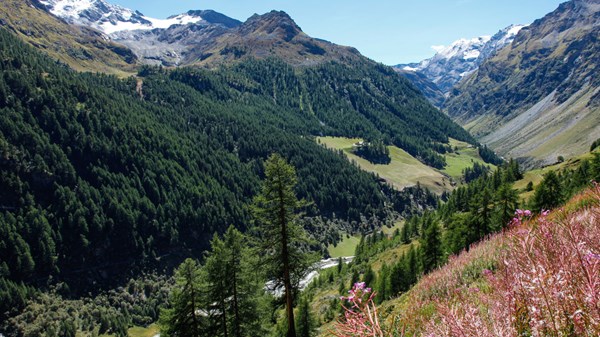 Usellières - Alpe Mont Forchat