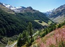 Usellières - Alpe Mont Forchat