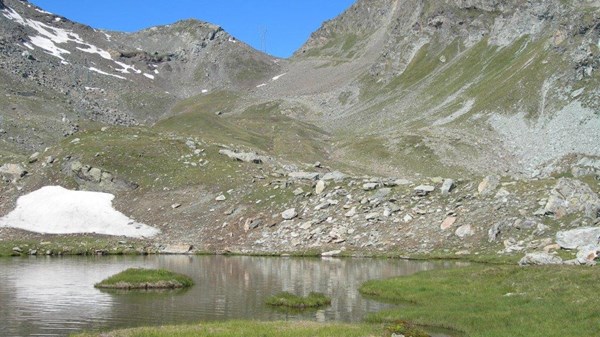 Grand Rosier - Col Plan Fenêtre