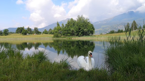 Lod lake