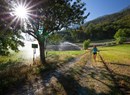 Paseo por el bosque de Brissogne