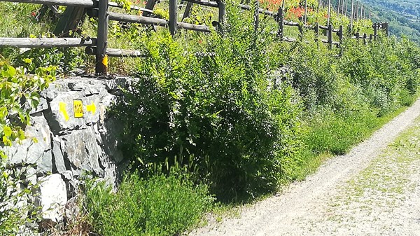 Von Nus nach Verrayes entlang der Via Francigena