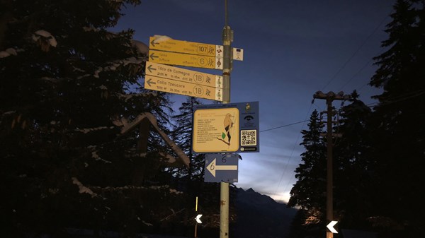 Col du Joux - Percorso del picchio