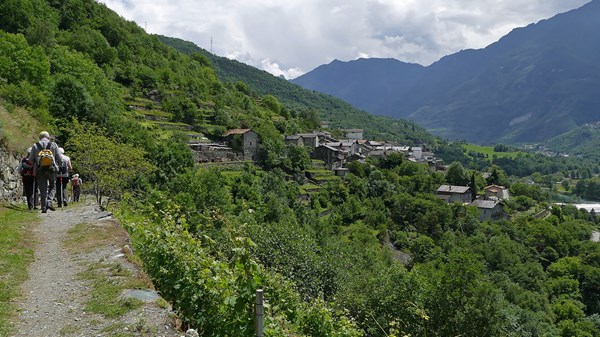 Le vigne e la strada romana