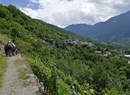 Les vignobles et la voie romaine