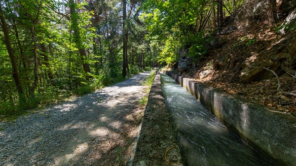 Il bosco di Arlaz