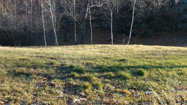 Ivéry - Holay pond nature reserve – Fabiole