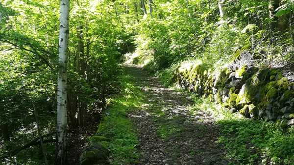 Moulin - Plout Sanctuary
