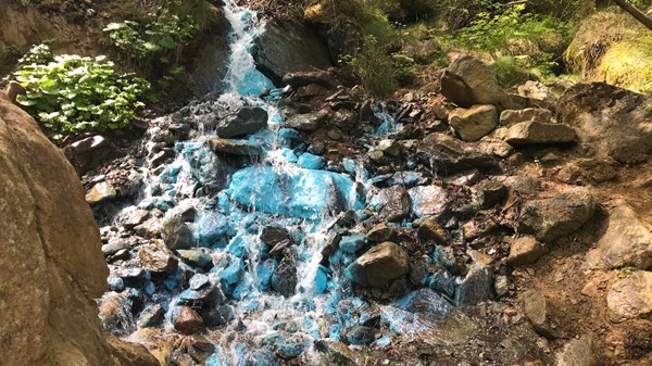 Plout - Eve verta (green water)