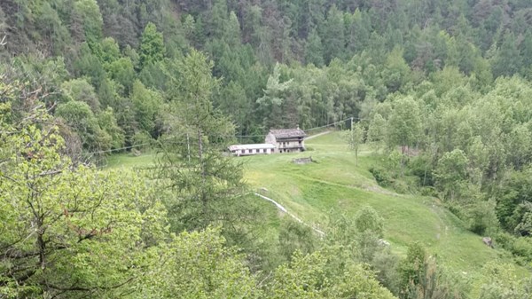 Rovère - Ney