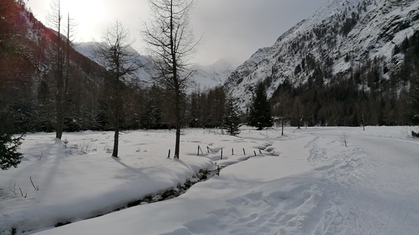 Gran Paradiso