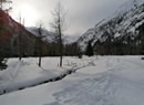 Gran Paradiso