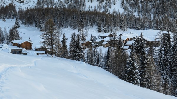 Con le racchette da Champoluc a Mascognaz
