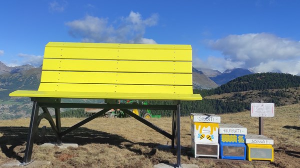 From Promiod to the Giant Bench 