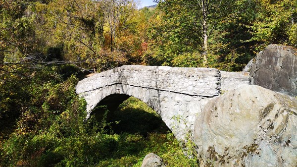 "Roman" bridges