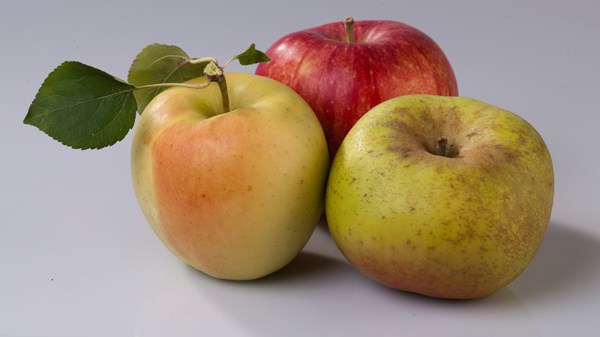 Mele: Renette e Golden Delicious