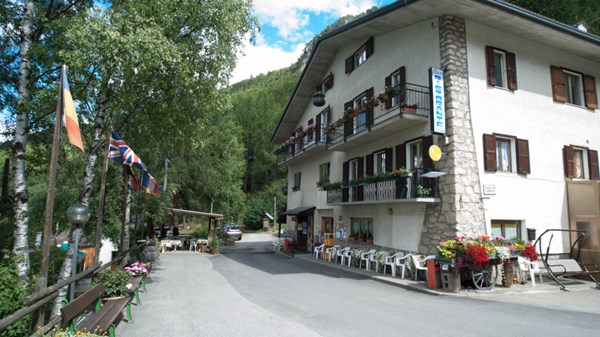 La Pineta
