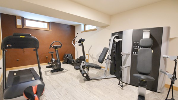 Hotel Des Roses Gym