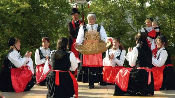 Groupe folklorique Les Sargaillons de Torgnon