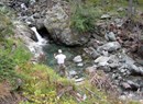 Informazioni generali - Pesca sportiva in Valle d’Aosta