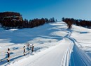 Pistes de Torgnon