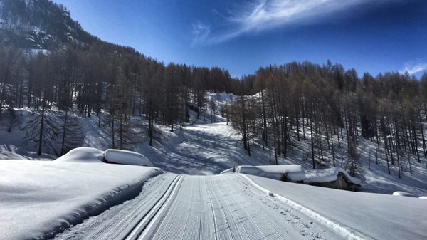 Pistes de Valtournenche