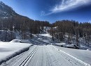 Valtournenche runs