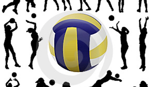 Campo di pallavolo c/o Palestra Comunale 