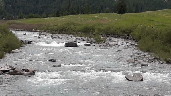 Riserva di pesca turistica estiva "Torrente Urtier"