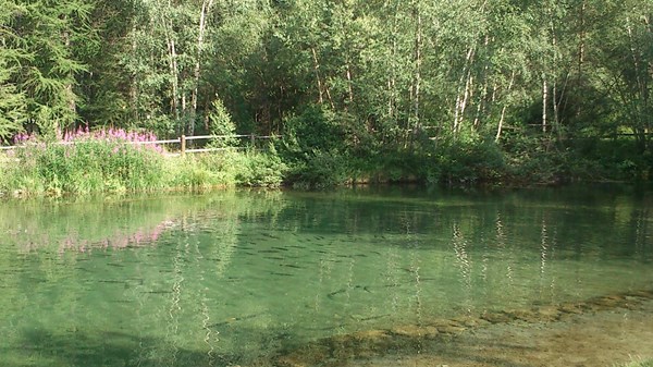 Pesca sportiva alla trota "Lillaz"