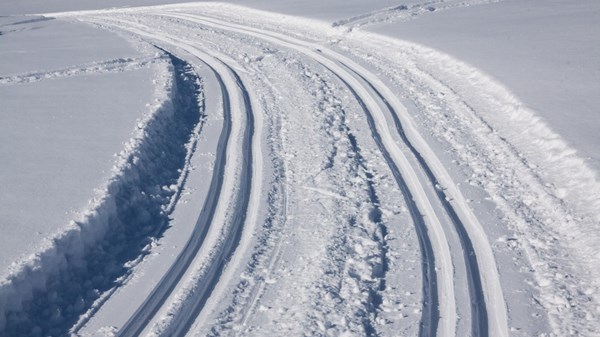Loipe in Gressoney-La-Trinité