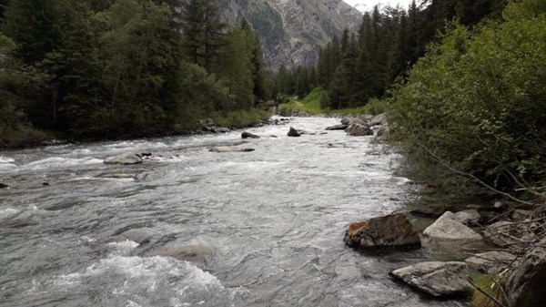 Riserva "no kill" torrente Grand'Eyvia