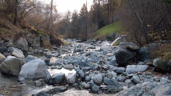 Riserva "no kill" torrente Evançon
