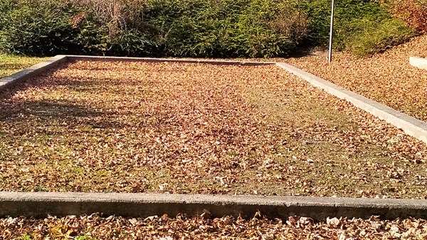 Bowls field - Plau hamlet