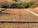 Bowls field - Plau hamlet