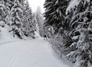 Piste zwischen den Gemeinden den Hochtals des Großen Sankt-Bernhards